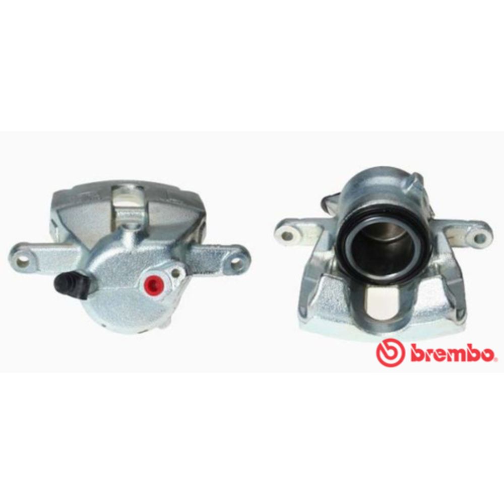 Jarrusatula 23-01428