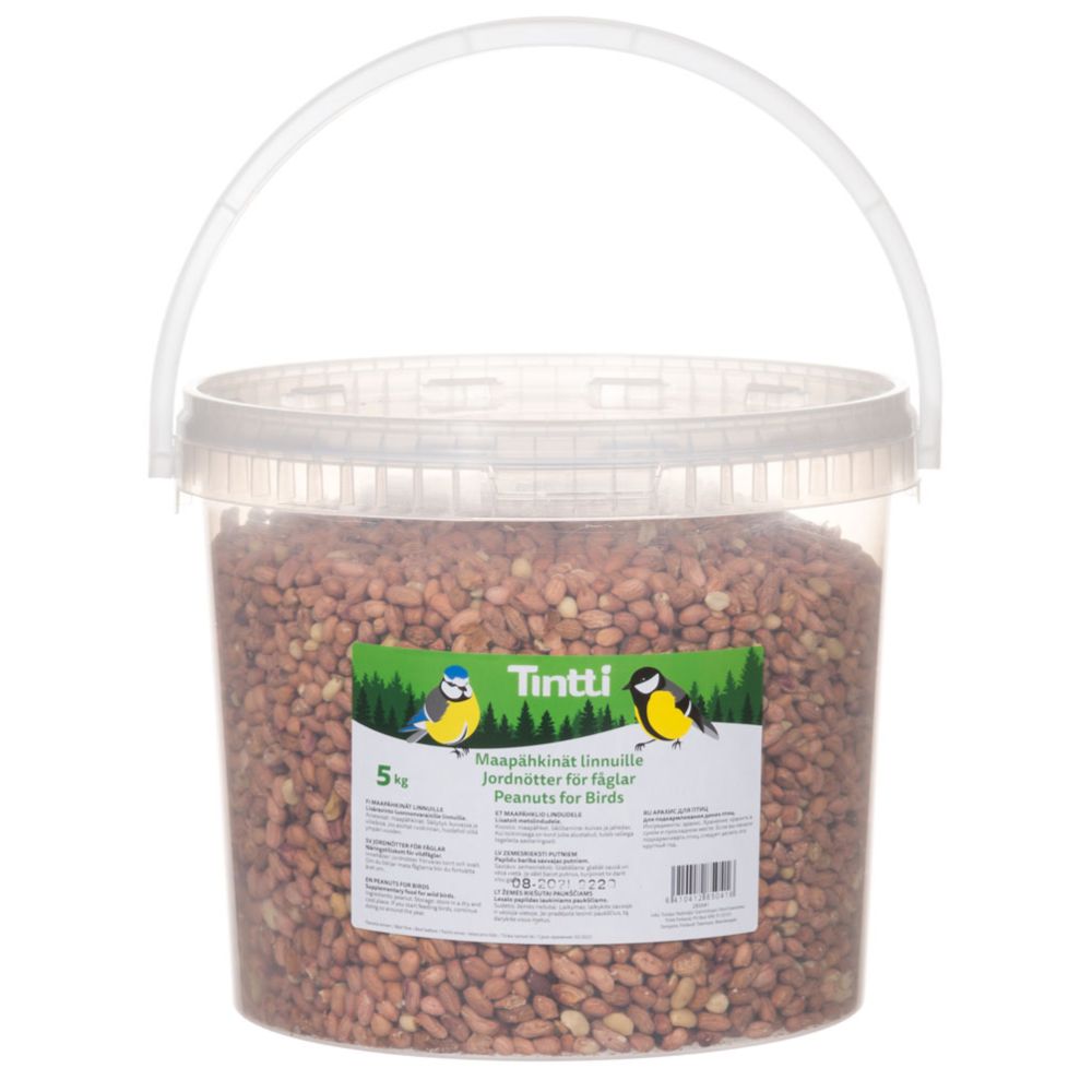 Tintti maapähklid ämbris, 5 kg