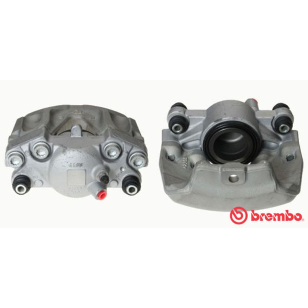 Jarrusatula 23-00597