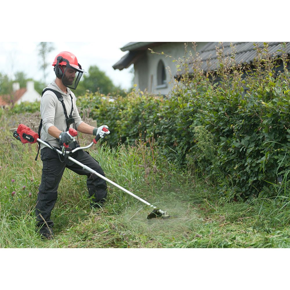 Skil 0255 CA akuvõsalõikur/trimmer